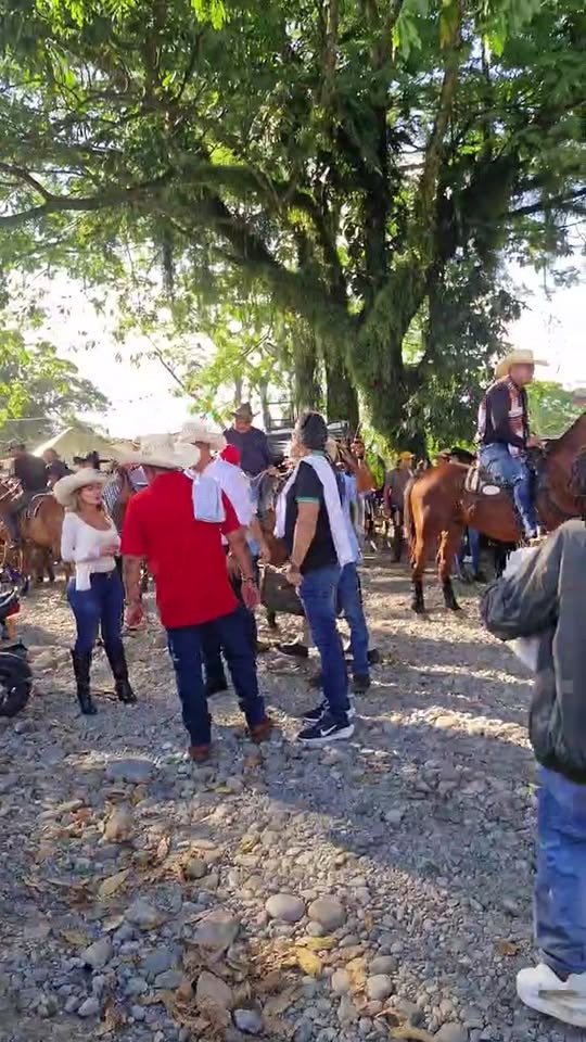 Inicia oficialmente el festival de colonias Guamal 2025 en Guamal Meta. Cabalgata.