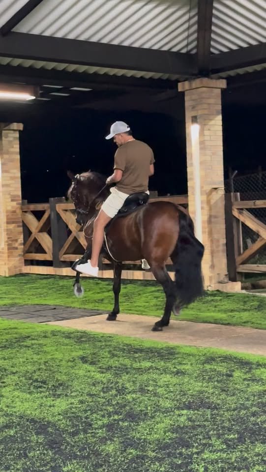 A caballo van los hombres 🫶