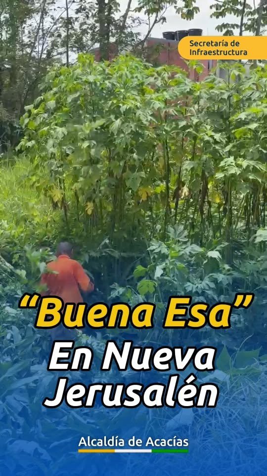MÁS LIMPIEZA Y MEJORES ESPACIOS CON ‘BUENA ESA’ Esta vez, la jornada