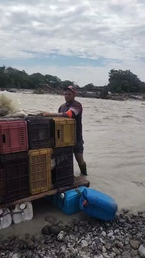 #RioAriari Dia a dia campesinos viven la tragedia de las embestidas del