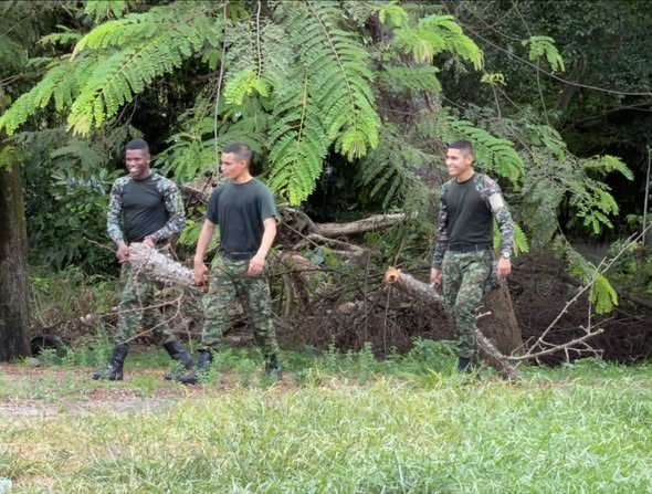 Embellecemos el parque del barrio El Diamante. El equipo ambiental de la