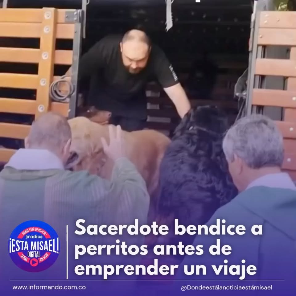 Sacerdote bendice a perritos antes de emprender un viaje Un sacerdote protagonizó