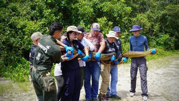 #Atención Cormacarena liberó más de 120 animales silvestres tras procesos de rescate