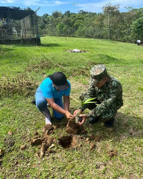 *Ejército Nacional y CDA Vaupés siembran 150 árboles nativos* _En una iniciativa